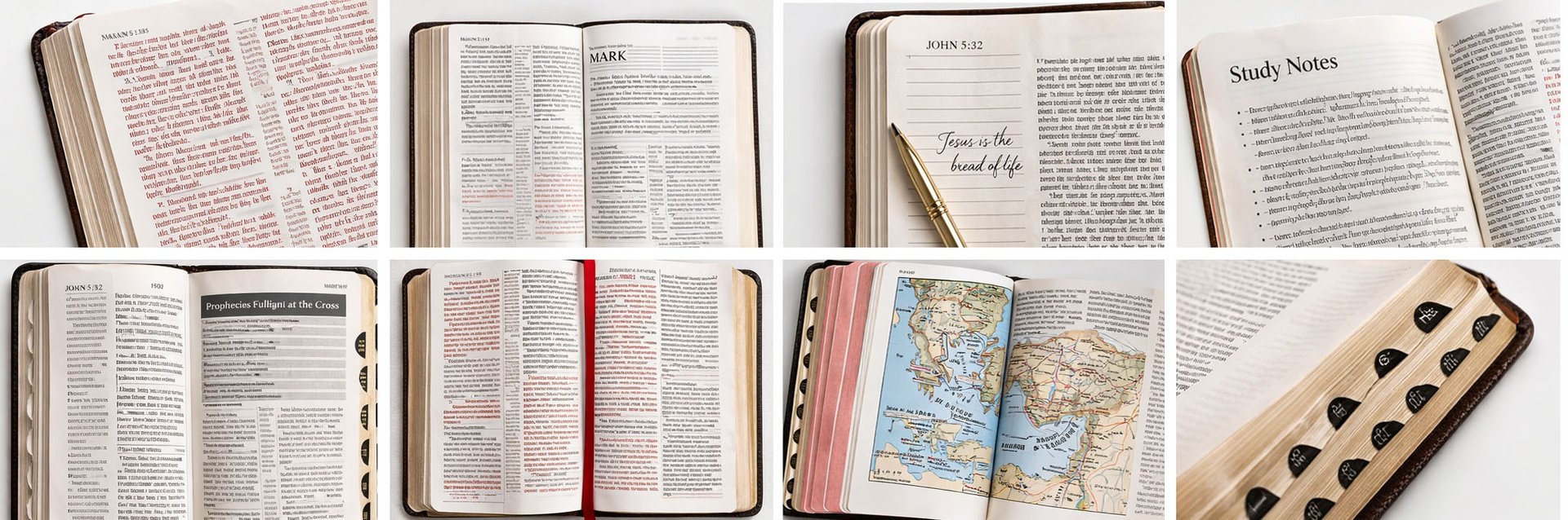 Bible cover features